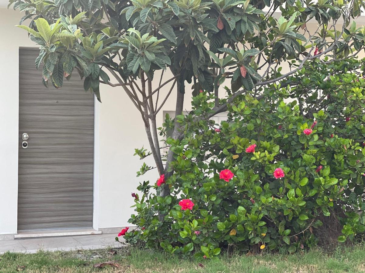 Loft Poetto Quartu Sant'Elena