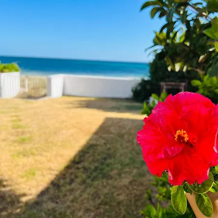 Beach Loft Poetto Quartu SantʼElena Exterior foto